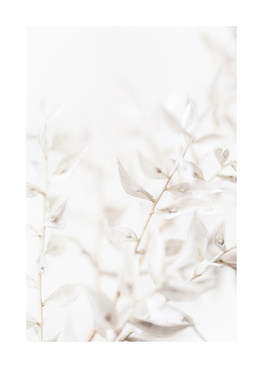  – Nærbilde av hvite blader mot en lysegrå bakgrunn