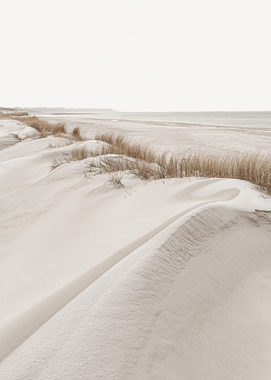  – Fotografi av gress på sanddyner, med en strand og hav bak