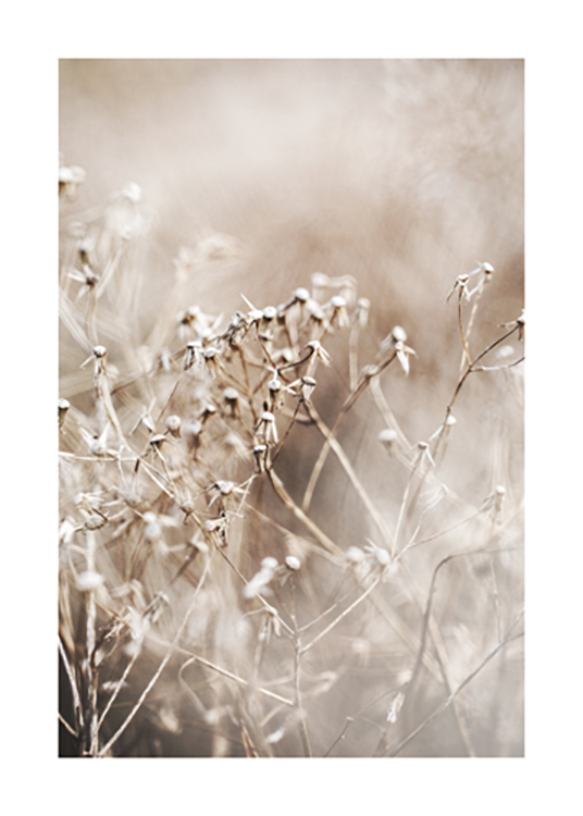  – Nærbilde av en bukett med tørkede blomster i beige mot en uskarp bakgrunn