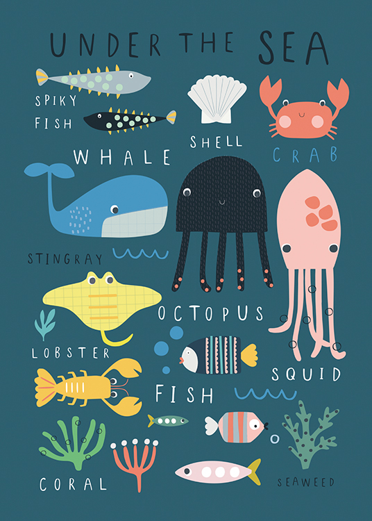  – Grafisk illustrasjon av dyr og planter fra havet og navnet deres, mot en blågrønn bakgrunn