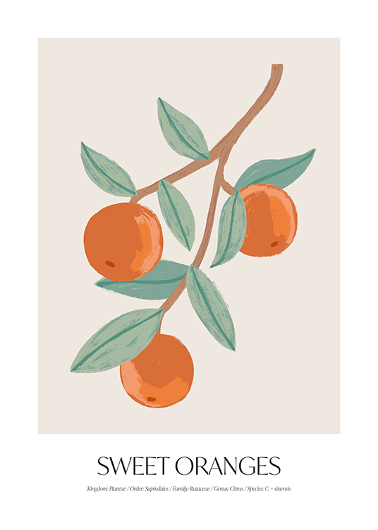  – Illustrasjon av en grein med appelsiner og blader mot en lys beige bakgrunn