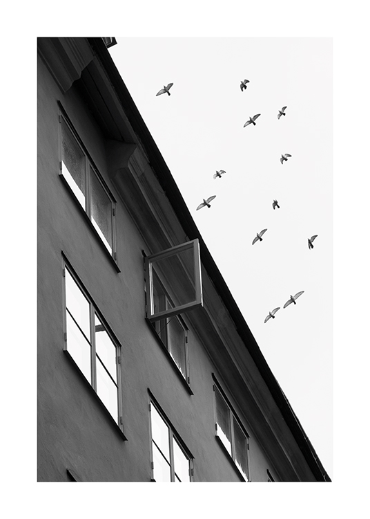  – Svarthvitt-fotografi av en flokk med fugler som flyr over en bygning der et vindu står åpent