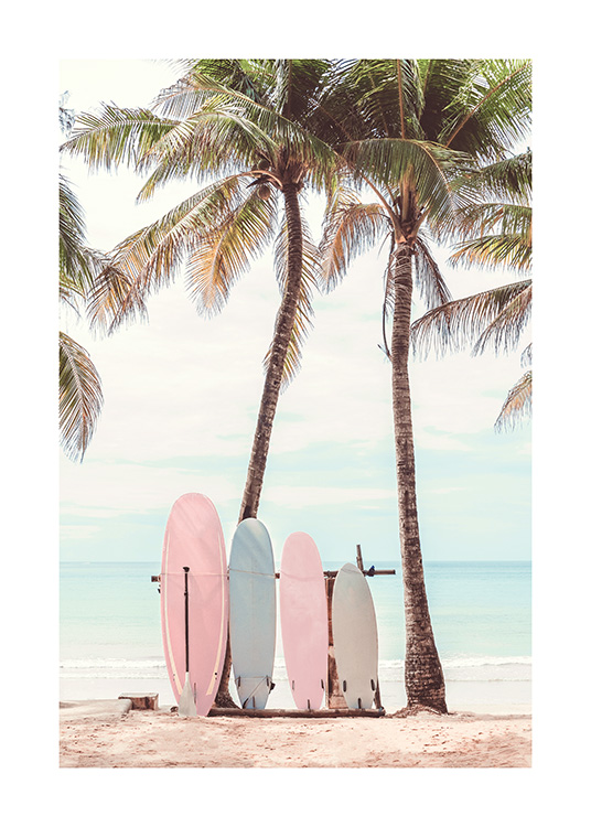  – Fotografi av to fargerike surfebrett som står lent opp mot to palmer