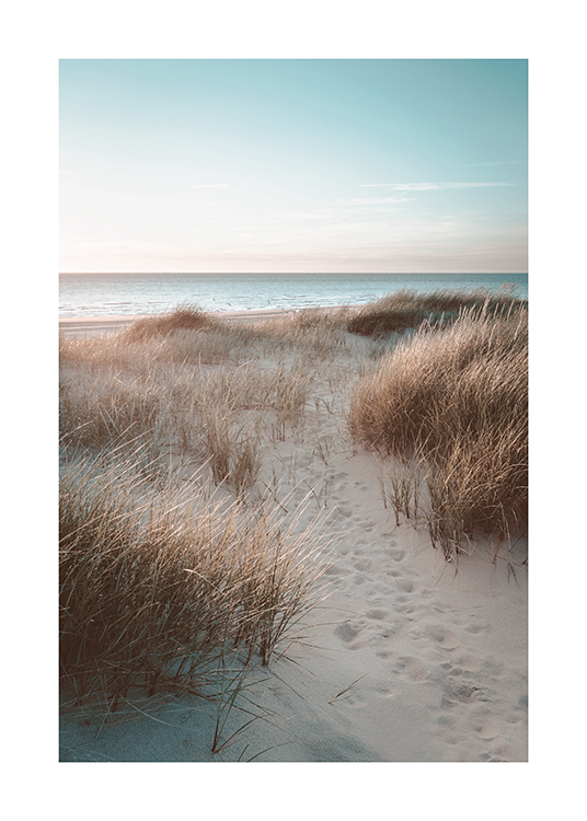  – Fotografi av sanddyner dekket av gress, med havet i bakgrunnen
