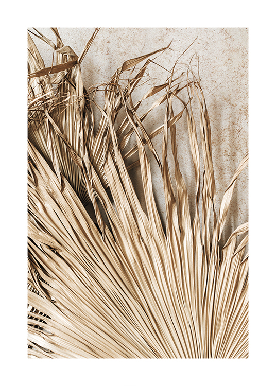  – Fotografi av tørkede, plisserte, beige palmeblader mot en steinbakgrunn