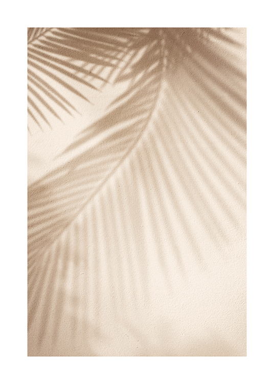  – Fotografi av skygger fra palmeblader mot en lys beige vegg med ru struktur