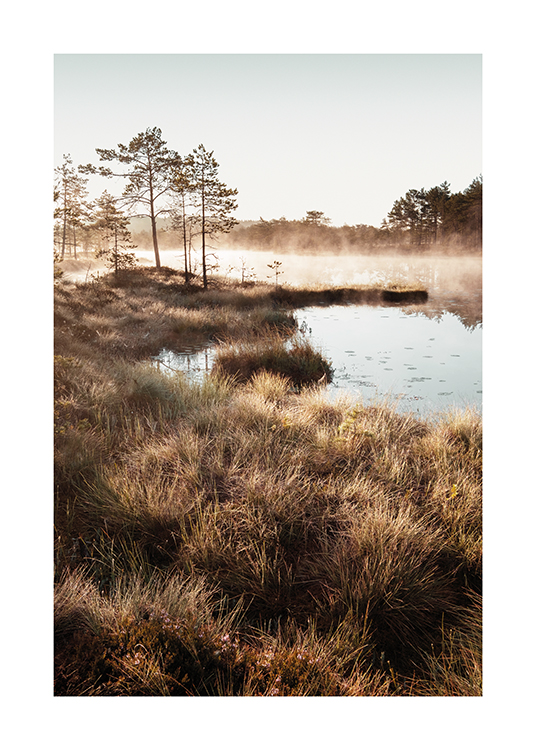  – Fotografi av gress rundt en liten dam, med trær og tåke i bakgrunnen