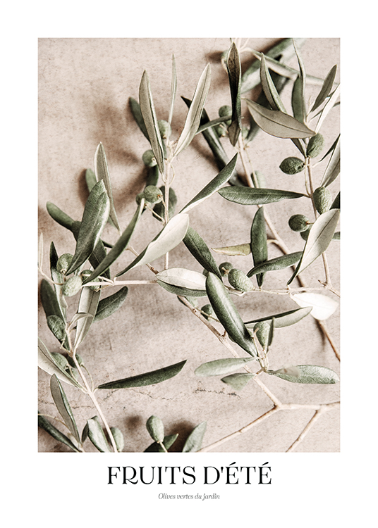  – Fotografi av grønne olivener på olivengreiner mot en beige steinbakgrunn
