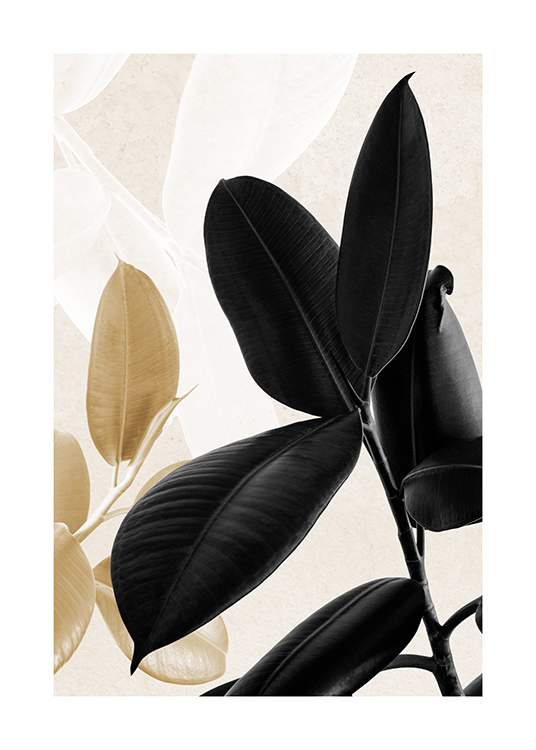  – Fotografi av gylne og svarte gummiplanter, med lyse bladsilhuetter i bakgrunnen