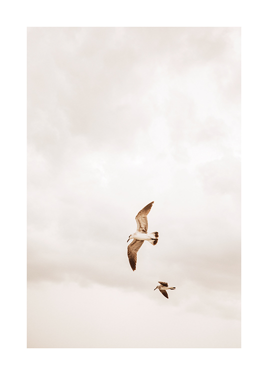  – Et bilde av to fugler som flyr på en skyet himmel