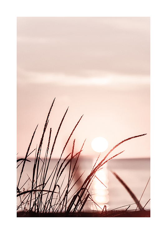  – Fotografi av gress foran en pastellrosa himmel i solnedgang