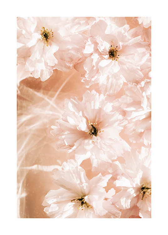  – Fotografi av en bukett blomster med lyserosa kronblader, som flyter i vannet
