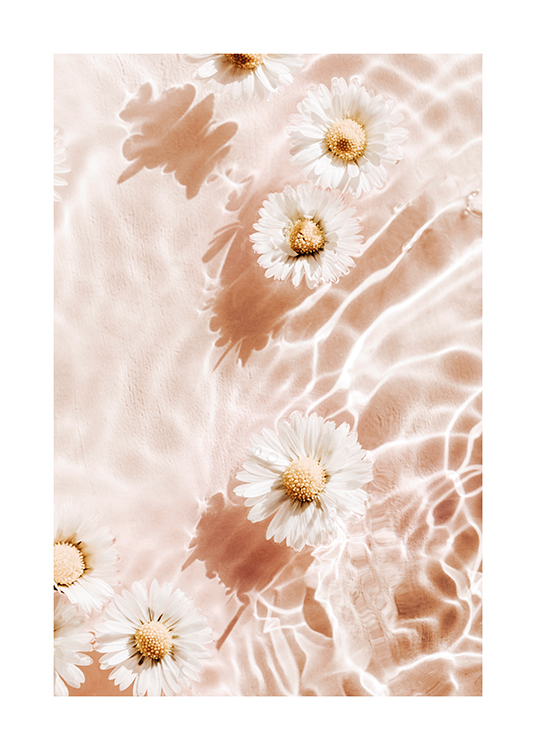  – Fotografi av hvite blomster som flyter i vann, mot en lys rosa bakgrunn