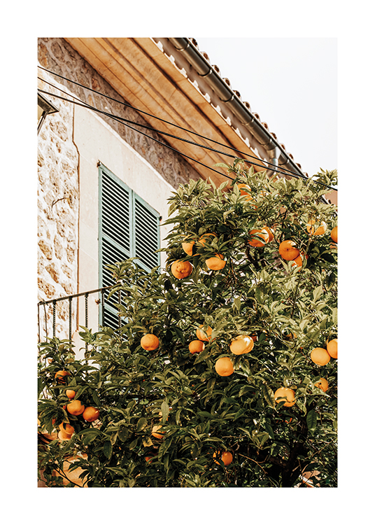  – Et bilde av et appelsintre ved siden av et sjarmerende hus i Spania