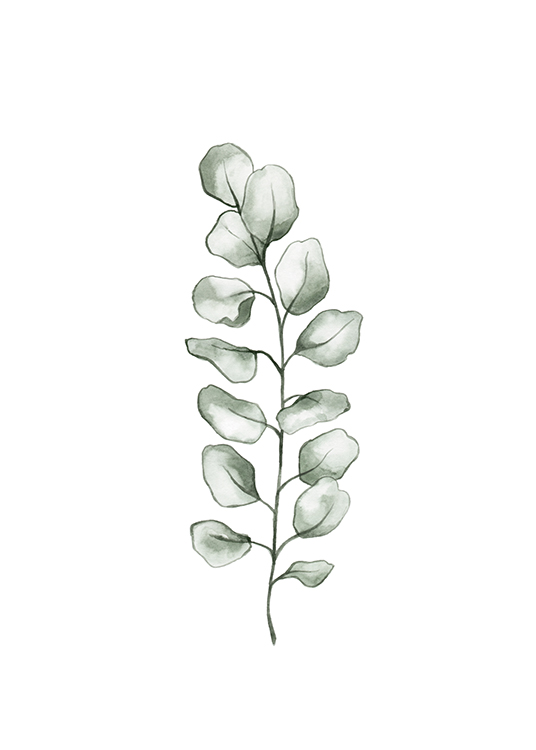 – Akvarell av et grønt eukalyptusblad mot en hvit bakgrunn