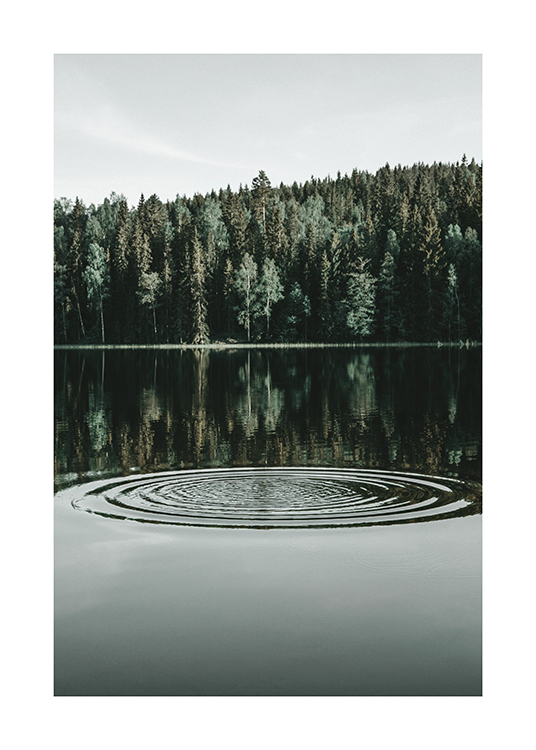  – Fotografi av en innsjø med ringer i vannet og en skog i bakgrunnen