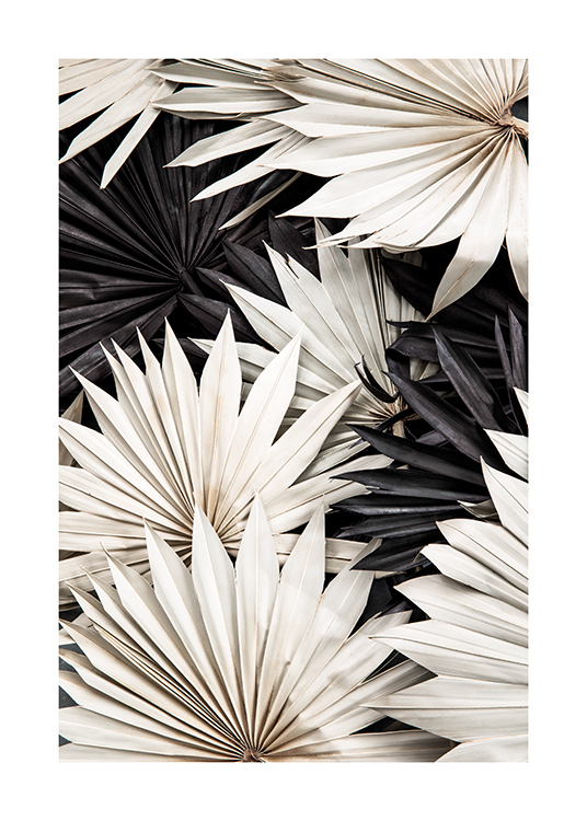  – Fotografi av svarte og hvite plisserte palmeblader som ligger oppå hverandre