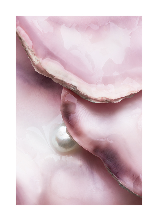  – Nærbilde av en rosa østers med en hvit perle i midten