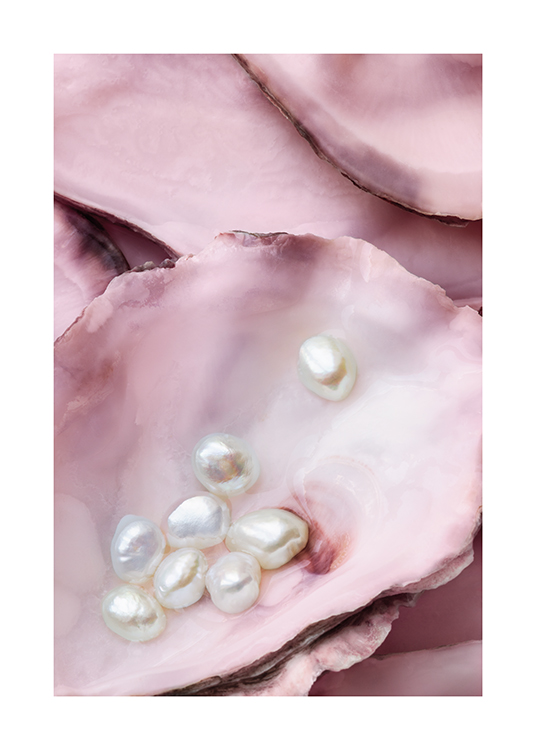  – Fotografi av rosa østers med hvite perler i den ene østersen