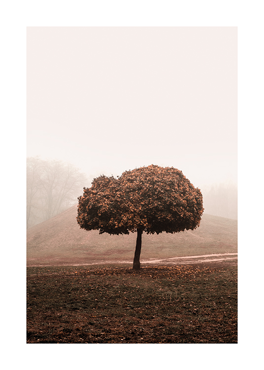  – Fotografi av en tåkete åker med et tre med stor topp i midten