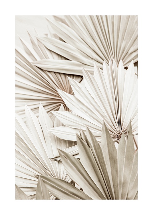  – Fotografi av plisserte palmeblader i hvitt og grått som ligger på hverandre