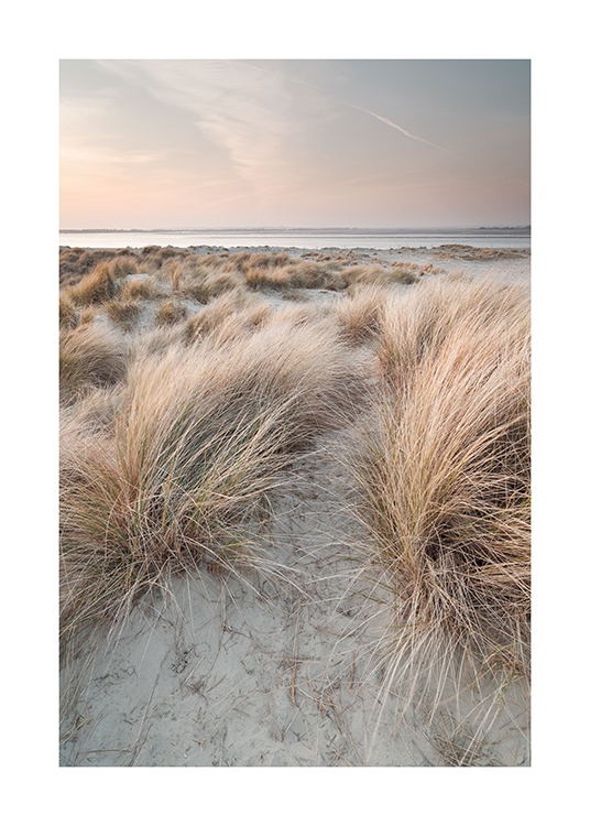  – Fotografi av sanddyner med gress og en pastellfarget himmel og hav i bakgrunnen