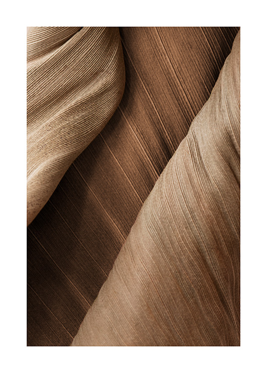 – Et nærbilde av et tørket brunt blad med tydelige linjer