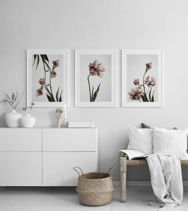  – Fotografi av en bukett rosa tulipaner i full blomst, mot en grå bakgrunn