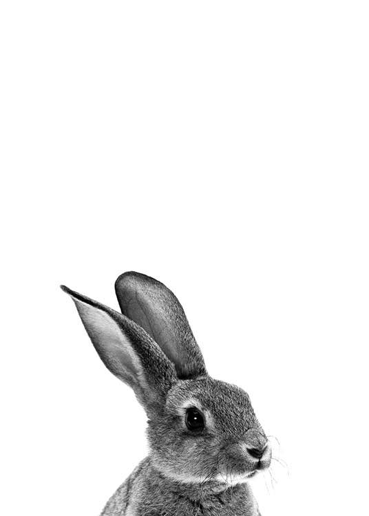 Grey Bunny Plakat / Barneplakater hos Desenio AB (2302)