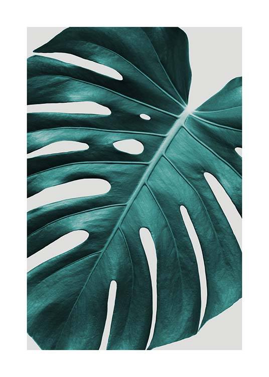 Monstera Plant Plakat