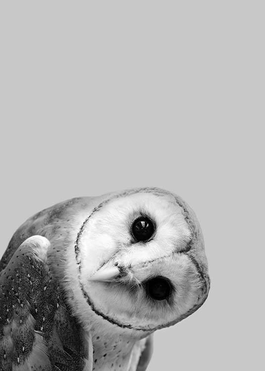 Owl Peekaboo Plakat / Barneplakater hos Desenio AB (2573)