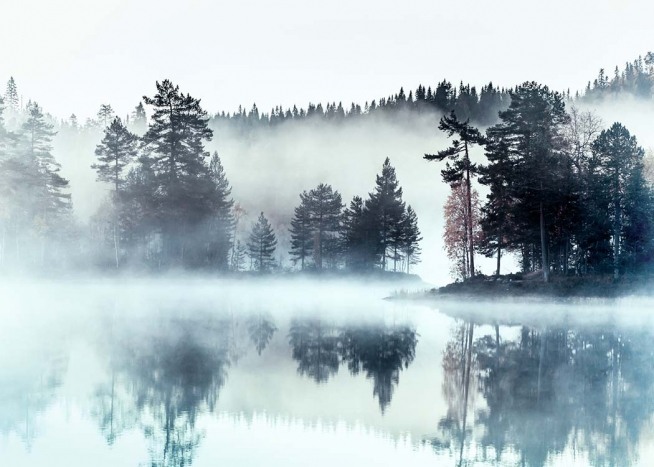 Foggy Lake Plakat