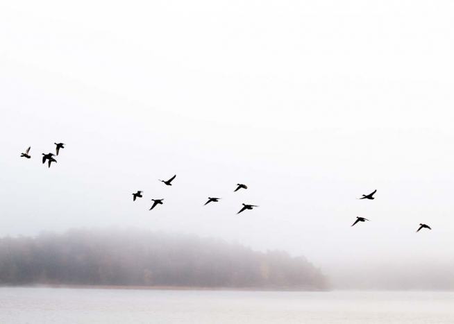 Birds Over Lake Plakat