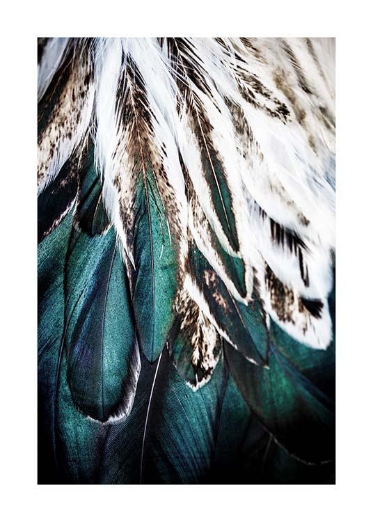 Green Feathers Plakat / Fotokunst hos Desenio AB (2732)