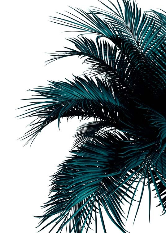 Green Palm Tree Plakat / Botaniske hos Desenio AB (2907)