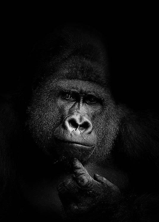 Gorilla B&W Plakat