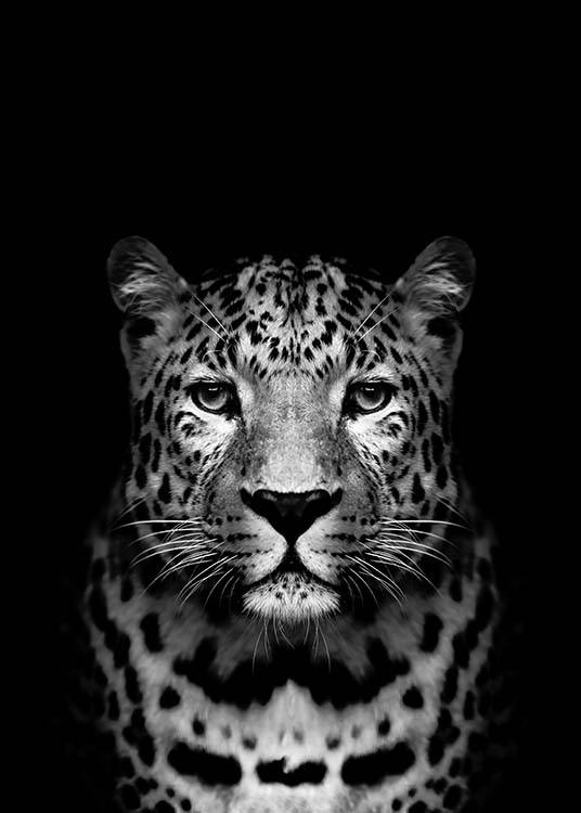 Leopard B&W Plakat