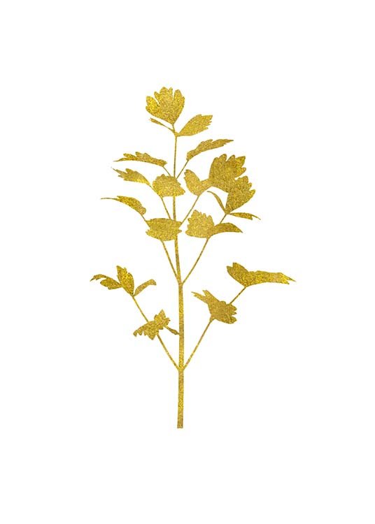 Golden Parsly Plakat