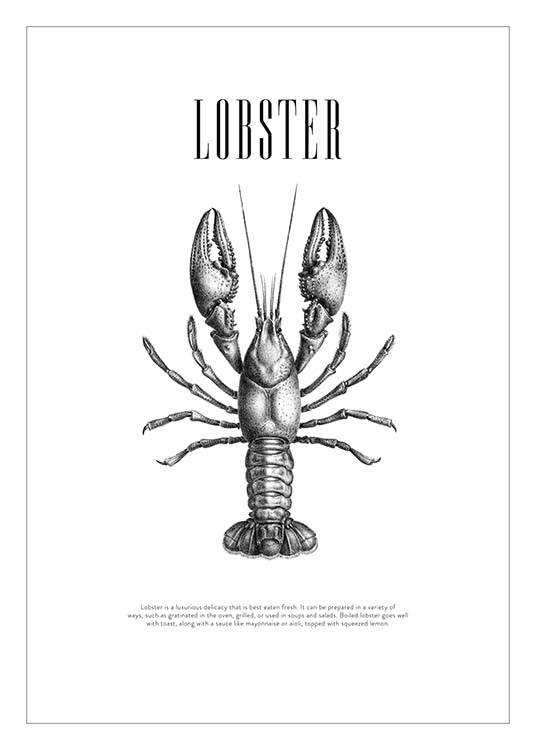 Lobster No2 Plakat