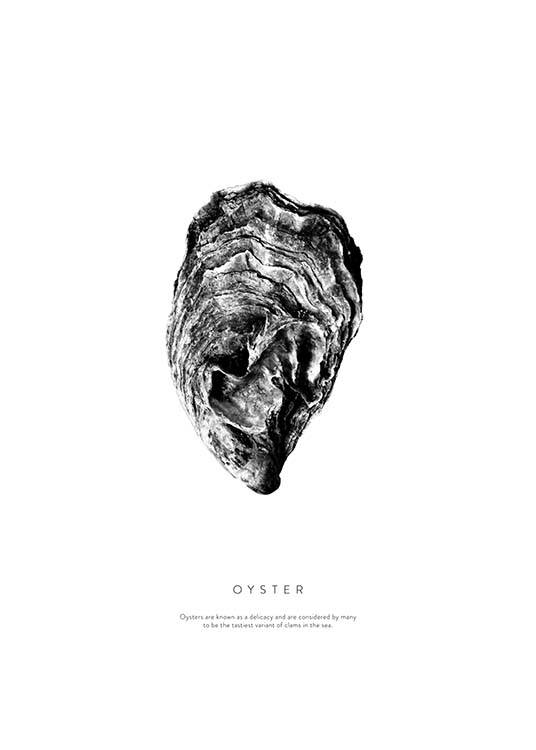 Oyster Plakat