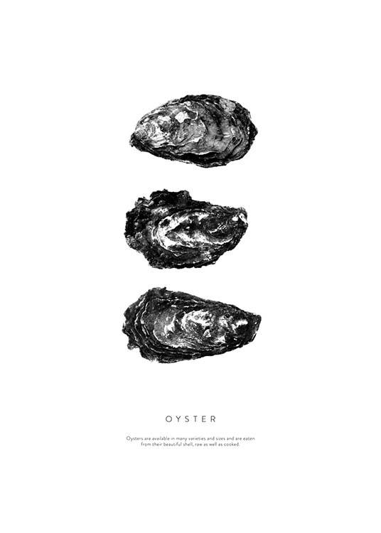 Oyster Three Plakat