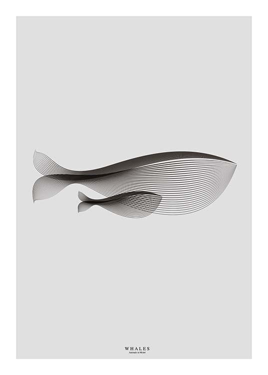 Whales In Moiré Plakat