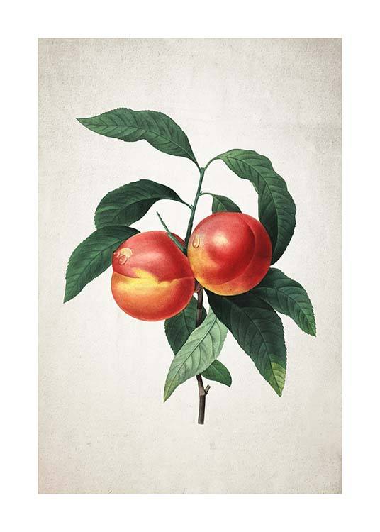 Peach Plakat