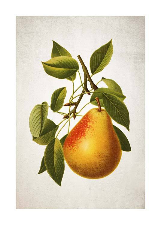 Pear Plakat
