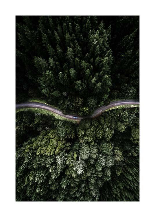 Forest Road Plakat