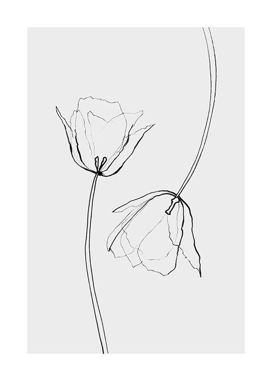 Line Tulips Plakat / Svarthvitt hos Desenio AB (3601)