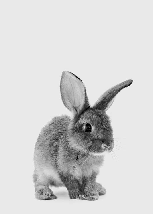 The Little Bunny Plakat / Barneplakater hos Desenio AB (3636)