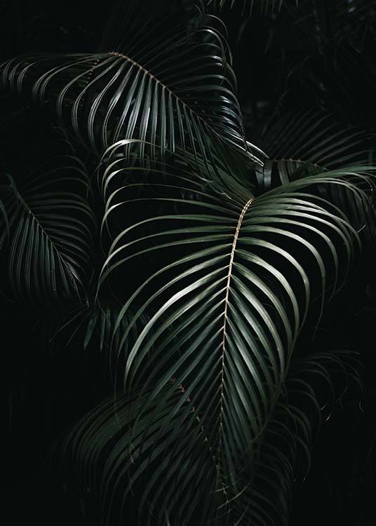 Dark Green Palm Leaves No1 Plakat / Fotokunst hos Desenio AB (3772)