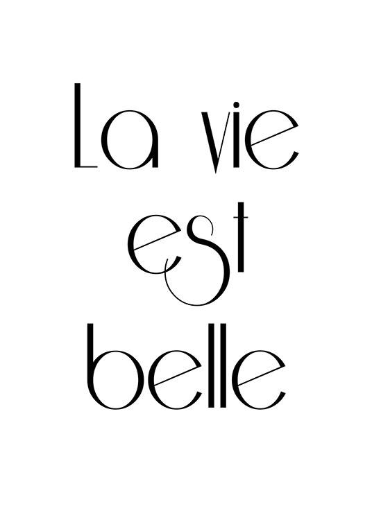 La Vie Est Belle, Plakat / Svarthvitt hos Desenio AB (7384)