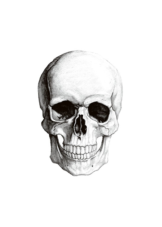 Vintage Skull, Plakat